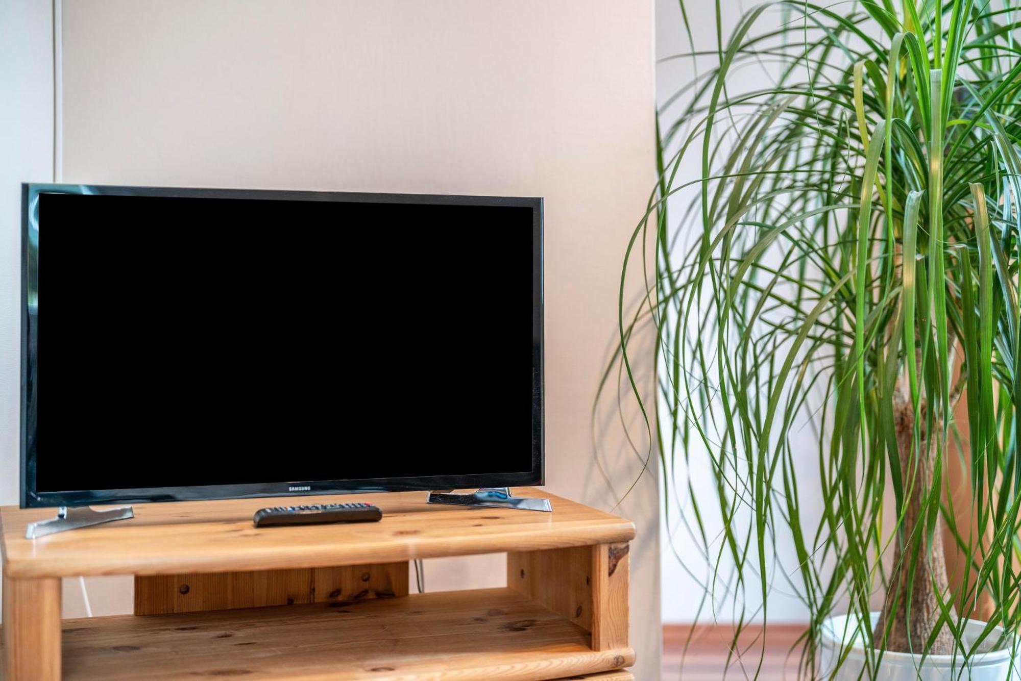 Ferienwohnung Burgblick Hausach Ngoại thất bức ảnh